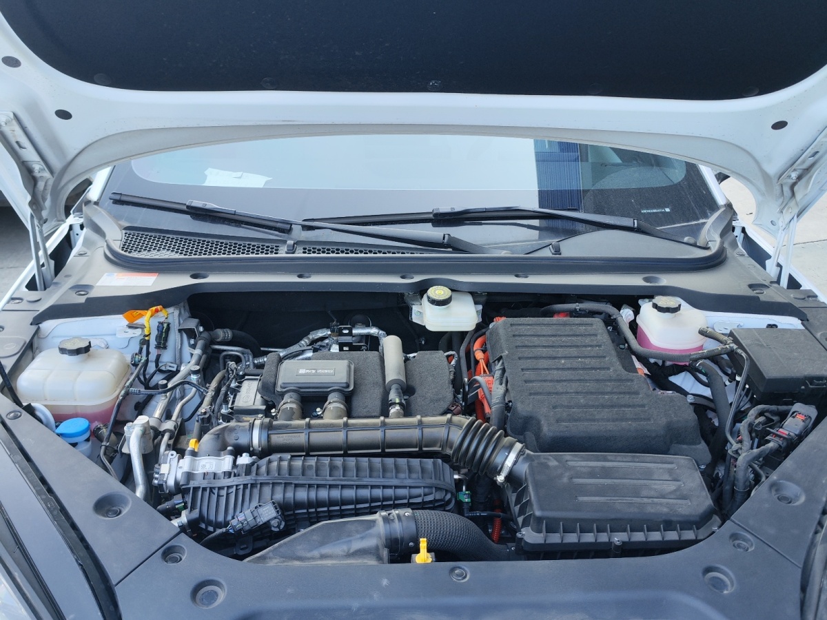 BYD Seal 06 New Energy 2024 car image #13