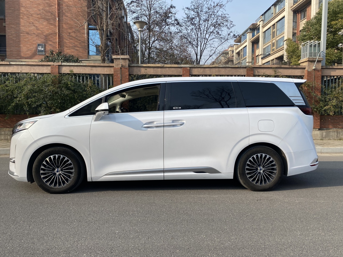 Denza D9 2024 imagen de coche #13