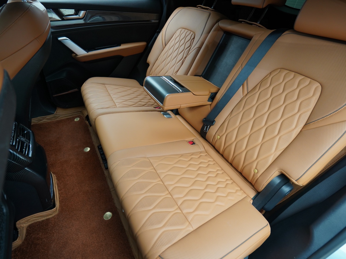 BYD Tang New Energy 2023 car image #13