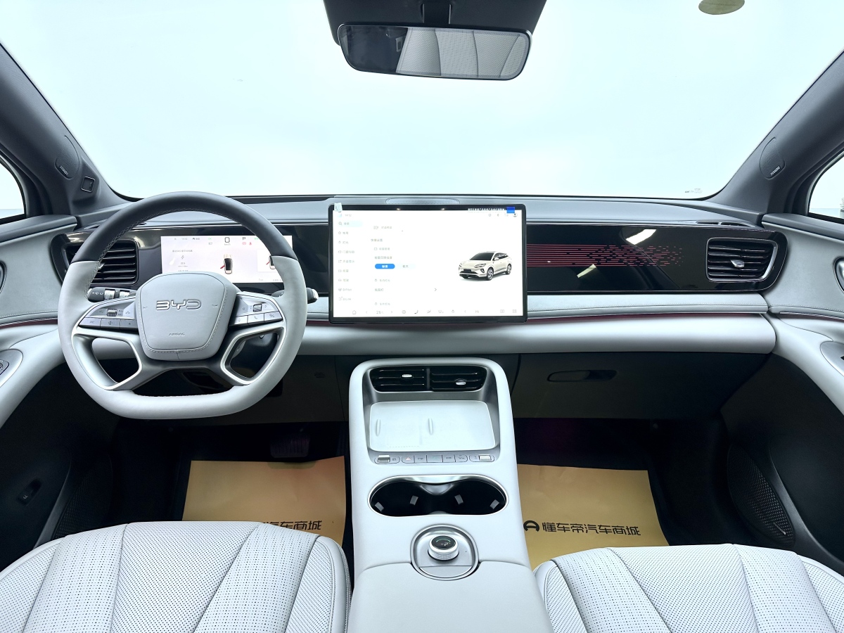 BYD Sea Lion 06 New Energy 2025 car image #13