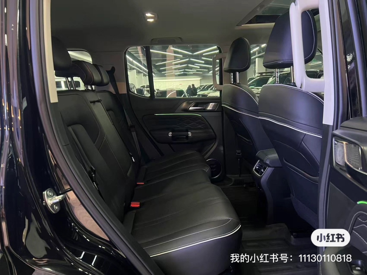 Tank 300 2022 car image #13