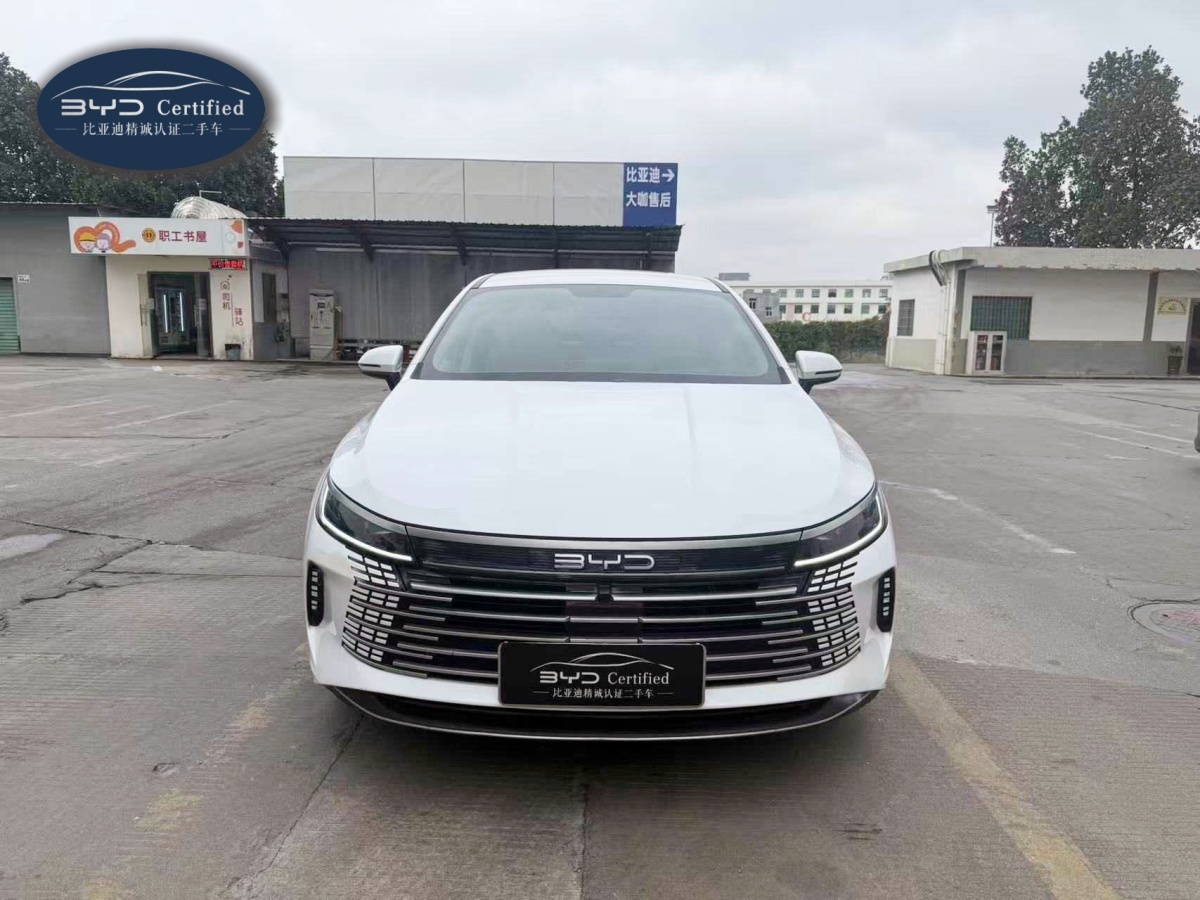 BYD Destroyer 05 2024 car image #13