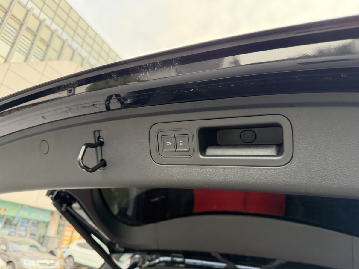 Denza X 2021 image de voiture #13