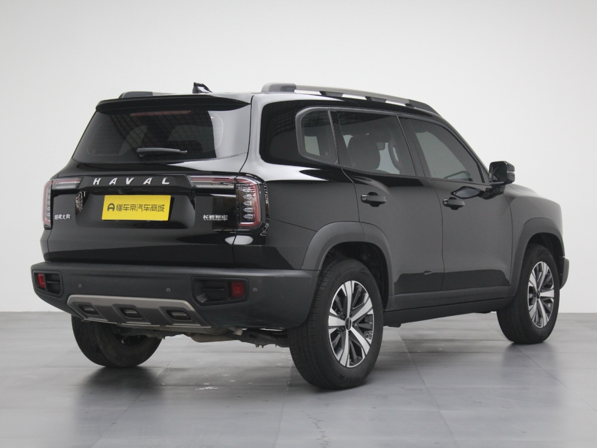 Haval X Dog / Dargo 2022 #13 Haval X Dog / Dargo 2022 car image #13