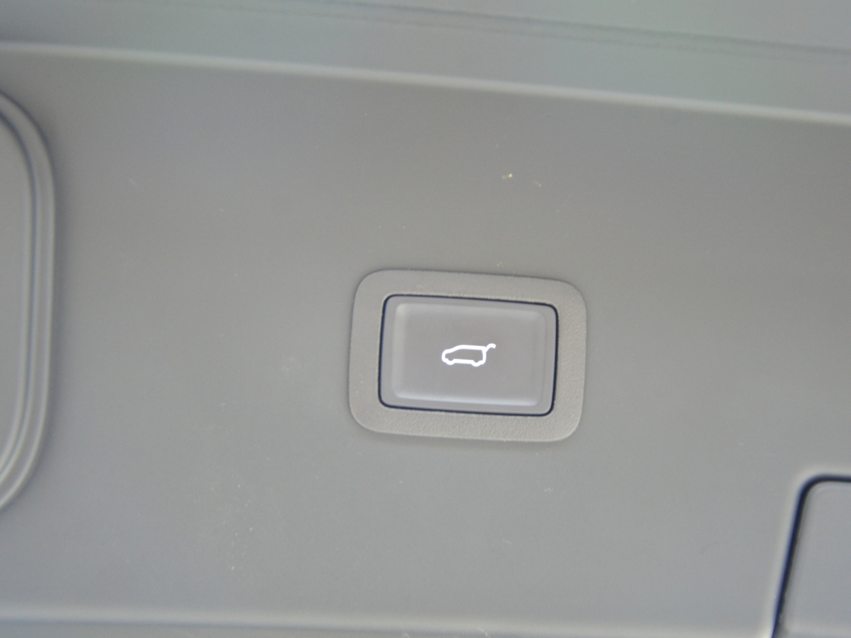 HongQi HQ9 PHEV 2024 #13 HongQi HQ9 PHEV 2024 car image #13