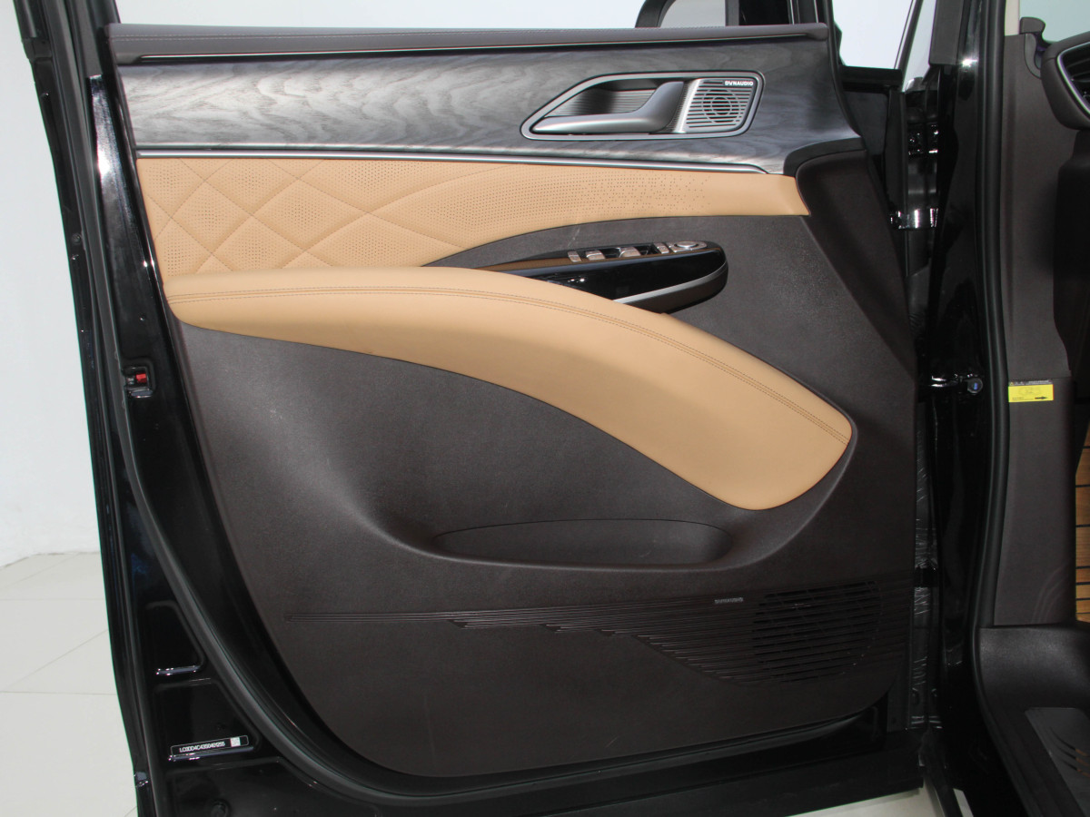 Denza D9 2025 car image #13