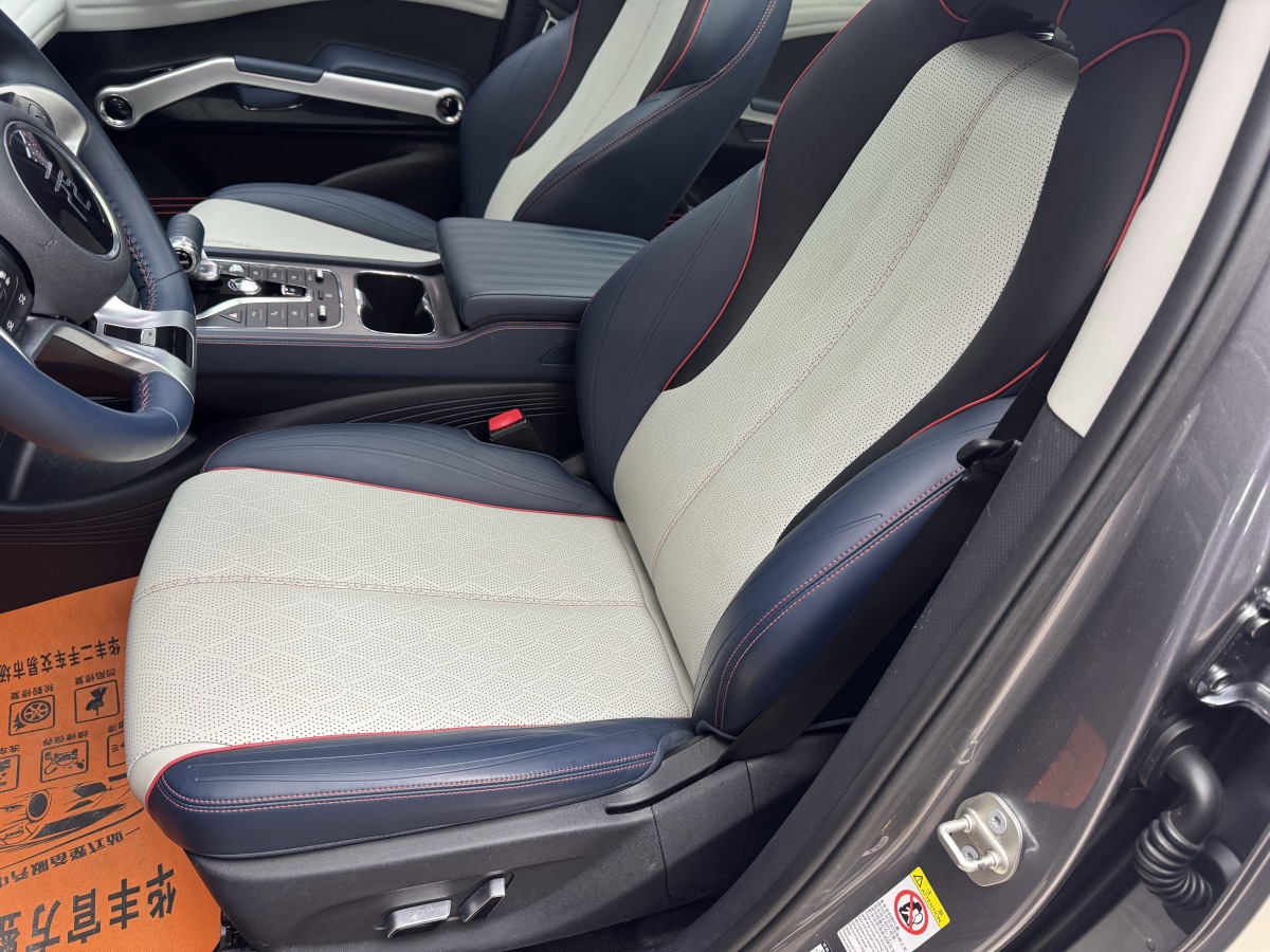 BYD Yuan Plus 2022 car image #13