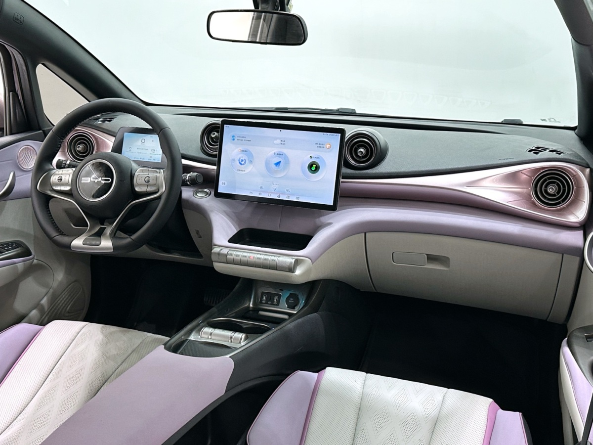 BYD Dolphin 2024 #13 BYD Dolphin 2024 car image #13