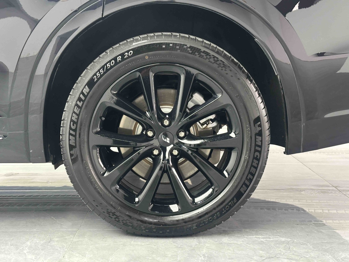 Li One 2021 imagen de coche #13