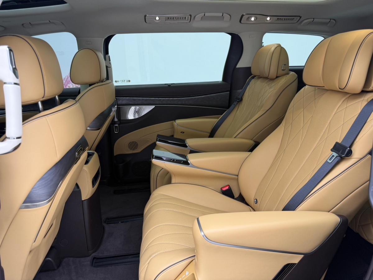 Denza D9 2024 immagine di auto #13