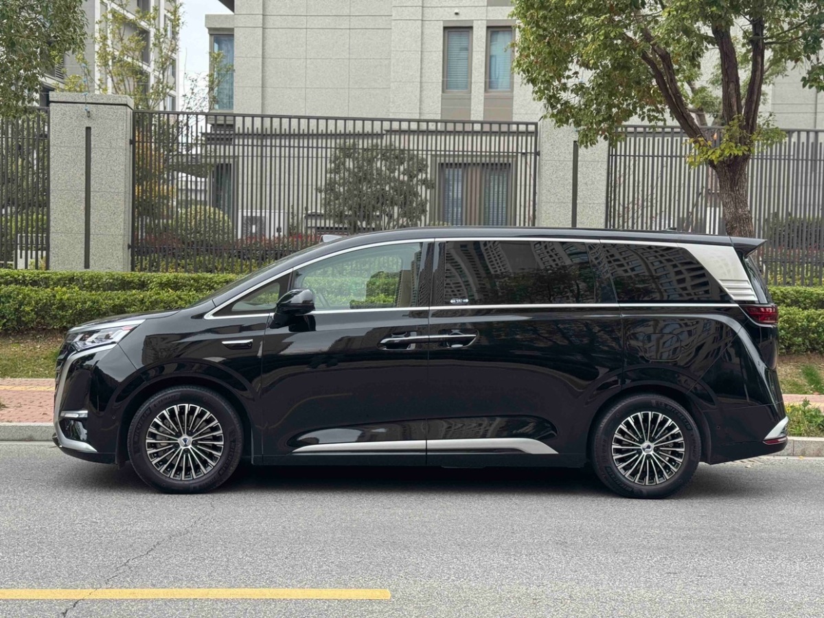 Denza D9 2024 imagen de coche #13