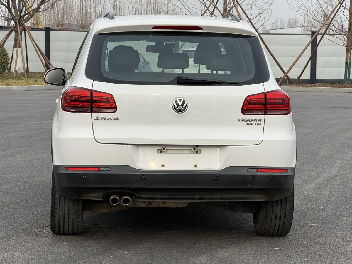 Volkswagen Tiguan 2016 car image #13