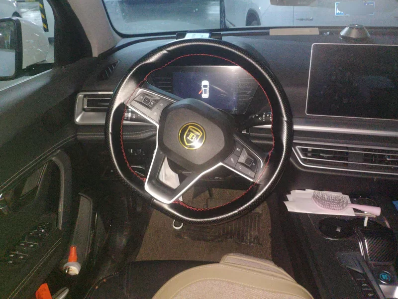 BYD Song Pro 2020 immagine di auto #13