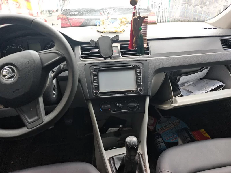 Skoda Rapid 2017 imagen de coche #13