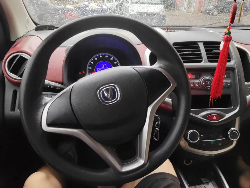 Changan BenBen EV 2017 изображение автомобиля #13