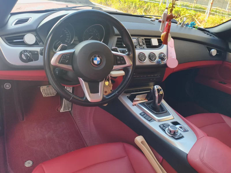 BMW Z4 M40i 2012 #13 BMW Z4 M40i 2012 immagine di auto #13