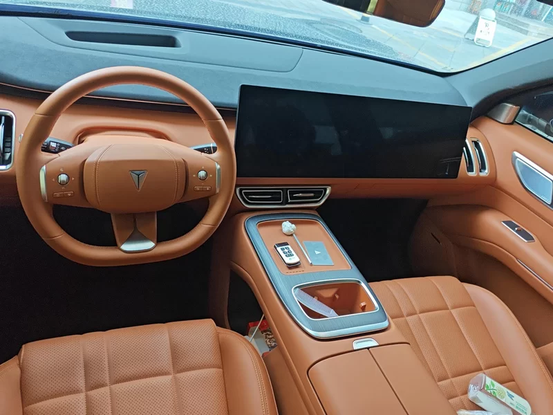 Deepal S09 2025 car image #13