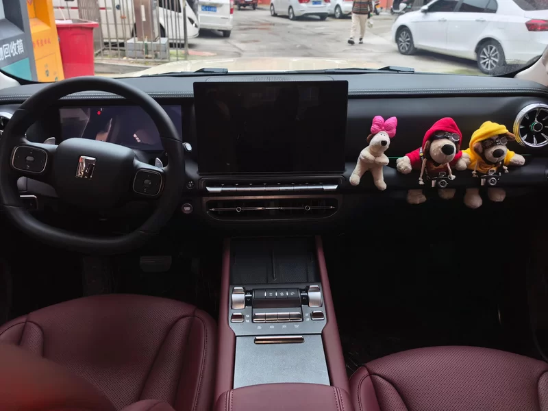 Tank 300 New Energy 2025 car image #13