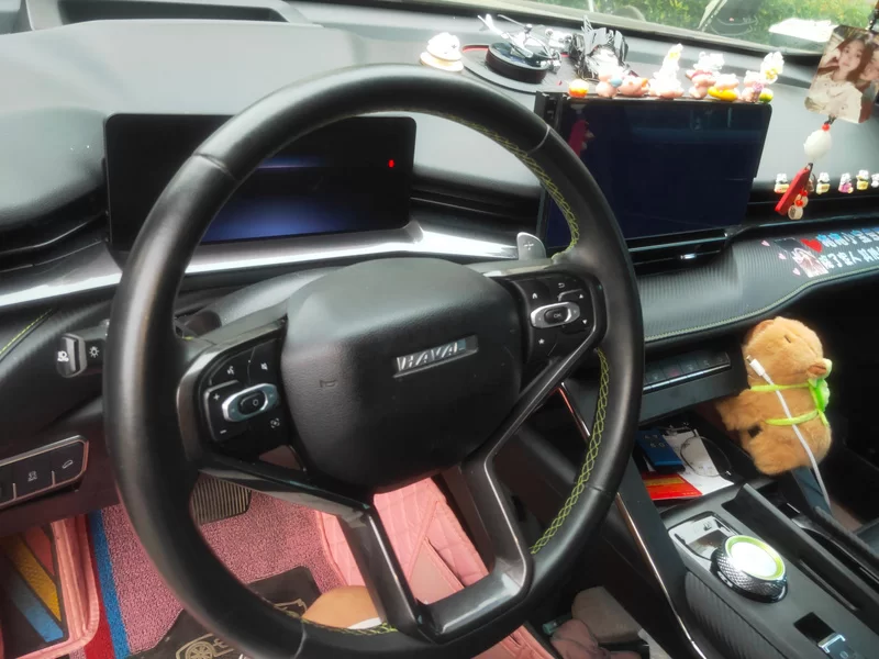 Haval H6S 2021 #13 Haval H6S 2021 car image #13