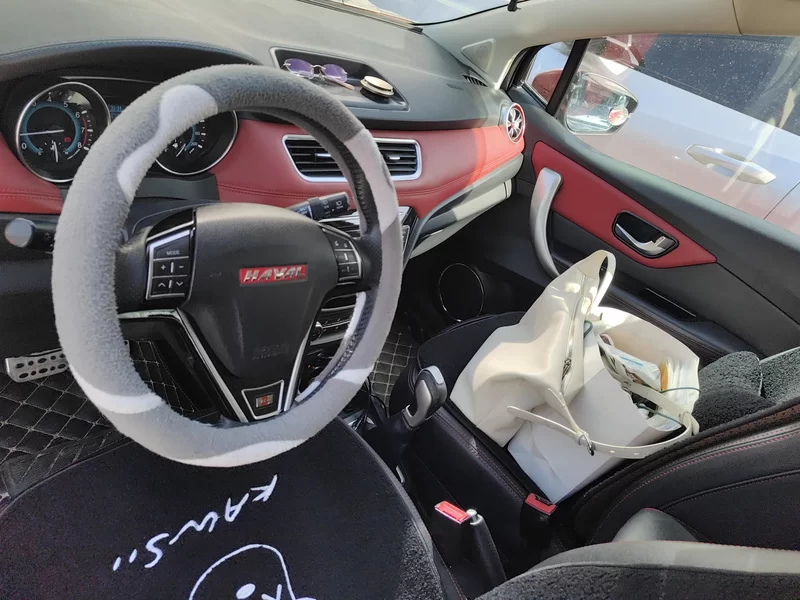 Haval H1 2015 immagine di auto #13