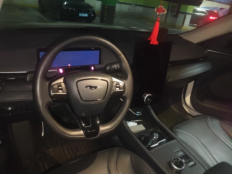 Ford Mustang Mach-E 2022 #13 Ford Mustang Mach-E 2022 car image #13