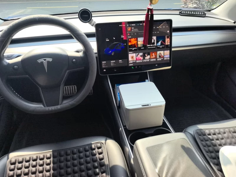 特斯拉 Model 3(进口) 2019 汽车图片 #13