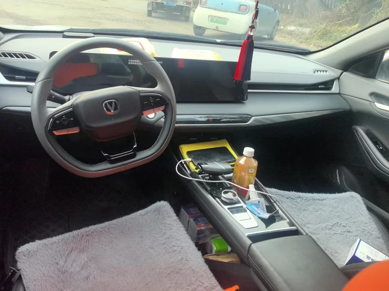 Changan Raeton Plus 2022 car image #13