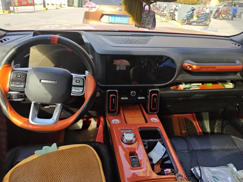 Haval X Dog / Dargo 2021 #13 Haval X Dog / Dargo 2021 car image #13