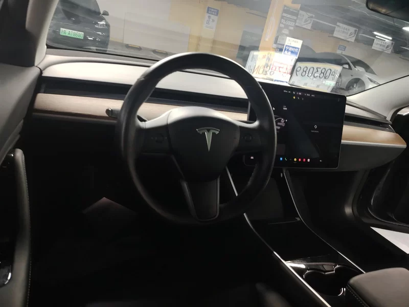 特斯拉 Model 3(进口) 2019 汽车图片 #13