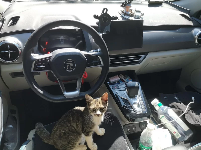 BYD Yuan 2023 #13 BYD Yuan 2023 car image #13