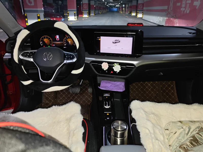 Volkswagen Lamando 2023 imagem de carro #13