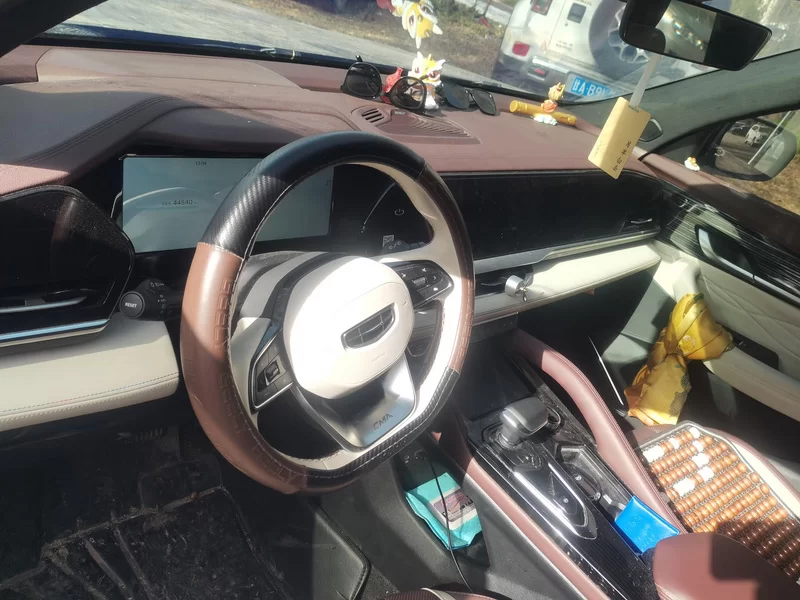 GEELY Monjaro MHEV 2023 immagine di auto #13