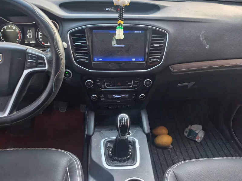 GEELY Vision X6 2017 immagine di auto #13