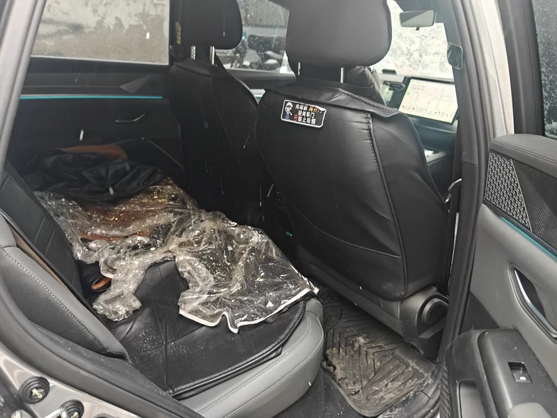 BYD Song Pro New Energy 2025 car image #13