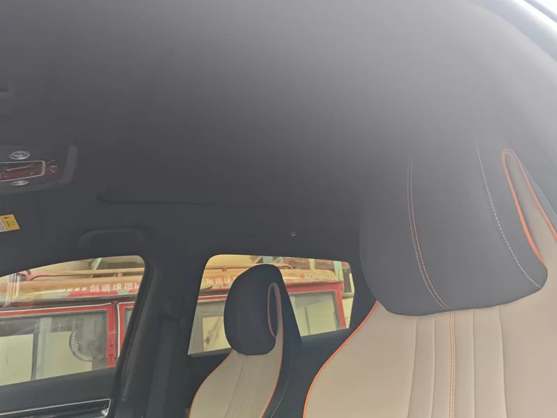 BYD Song Plus New Energy 2022 car image #13