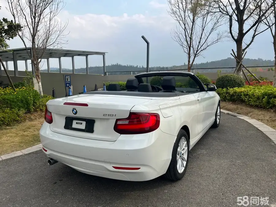 BMW 2 Series (Imported) 2016 #13 BMW 2 Series (Imported) 2016 изображение автомобиля #13