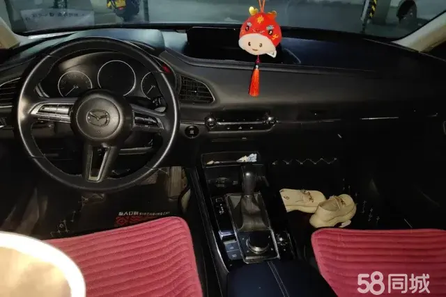 Mazda CX-30 EV 2021 imagen de coche #13