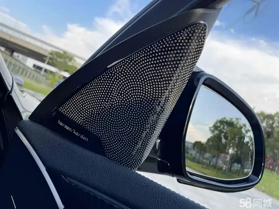 BMW X4 2020 car image #13