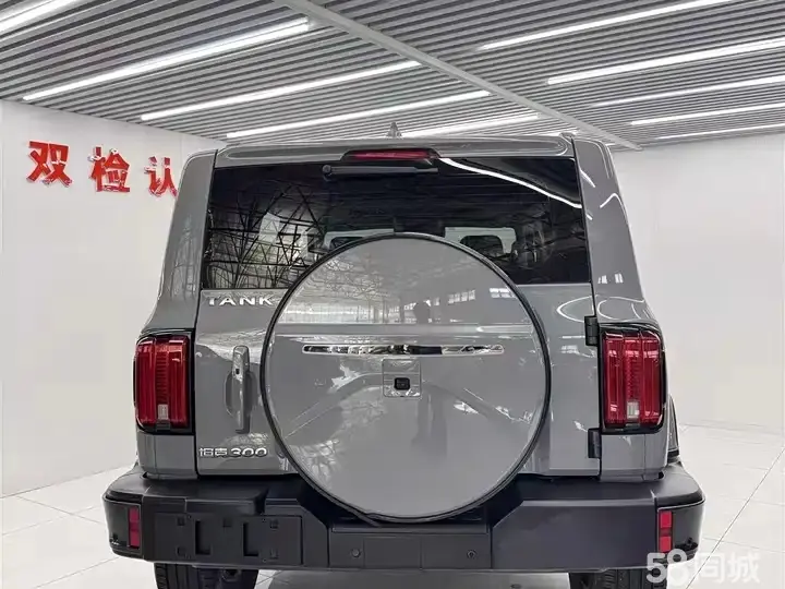 Tank 300 2022 car image #13