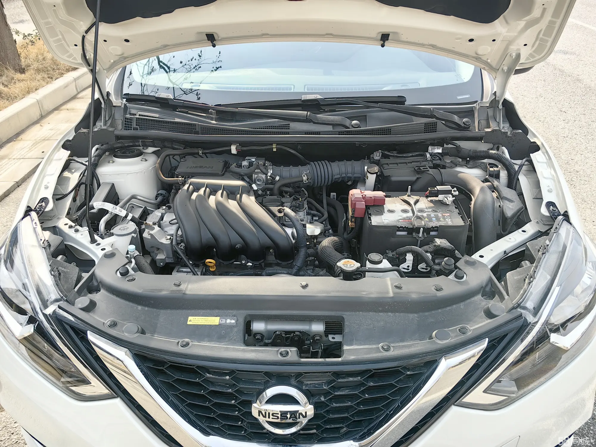 Nissan Sylphy 2024 car image #13