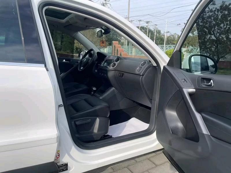 大众 Tiguan 2009 汽车图片 #13