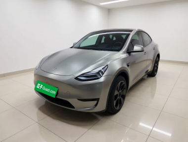 Tesla Model Y 2024 car image 