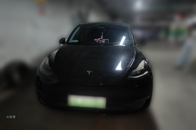 Tesla Model Y 2021 car image #3