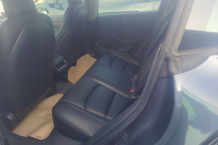 Tesla Model 3 2020 #17 Tesla Model 3 2020 car image #17