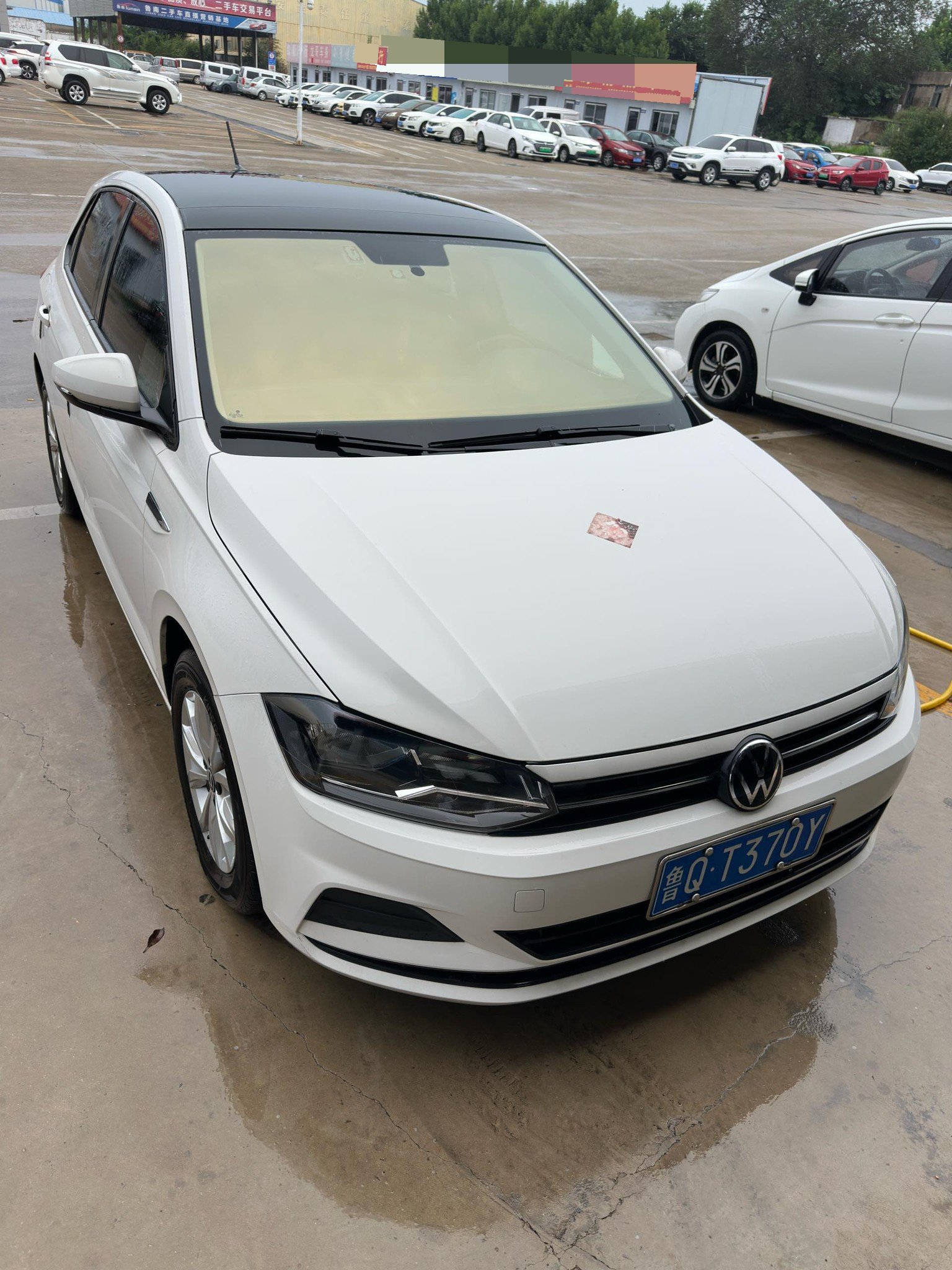 Volkswagen Polo 2021 #6 Volkswagen Polo 2021 immagine di auto #6