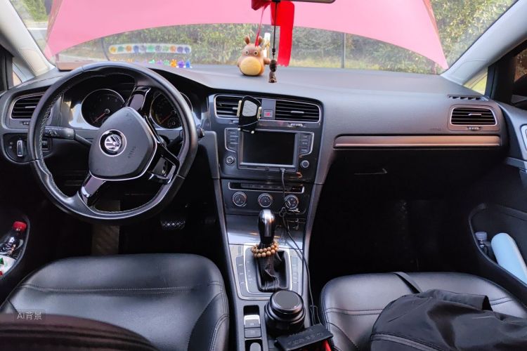 Volkswagen Golf 2017 car image #11