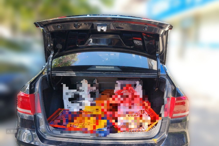 Volkswagen Santana 2016 car image #21