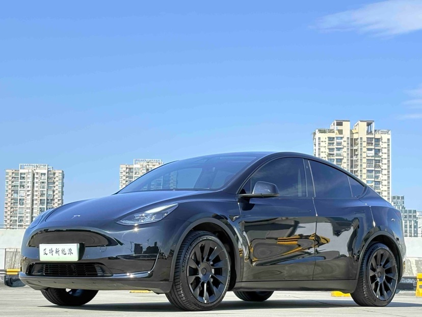 Tesla Model Y 2022 car image 
