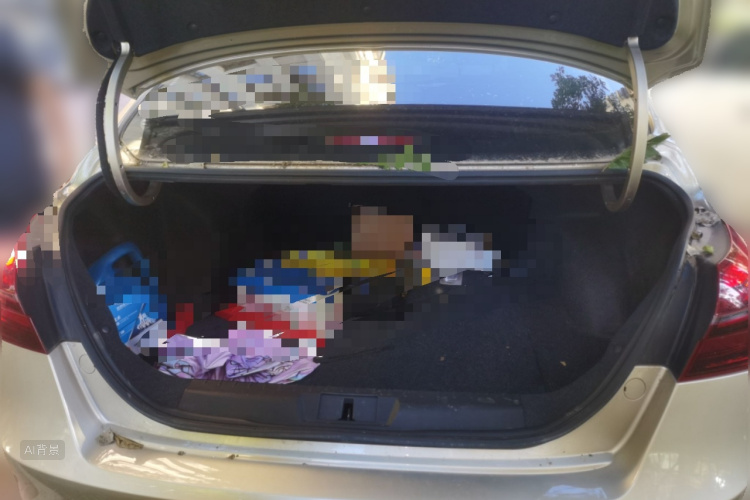 GEELY Emgrand 2019 car image #21