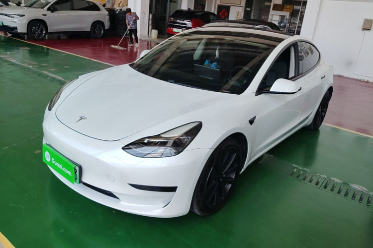 Tesla Model 3 2021 #2 Tesla Model 3 2021 car image #2